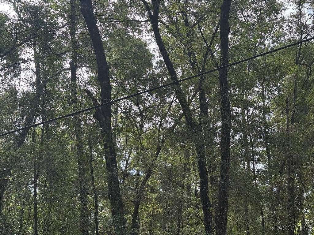 0.22 Acres of Residential Land for Sale in Inverness, Florida