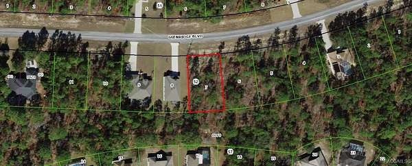 0.31 Acres of Residential Land for Sale in Homosassa, Florida