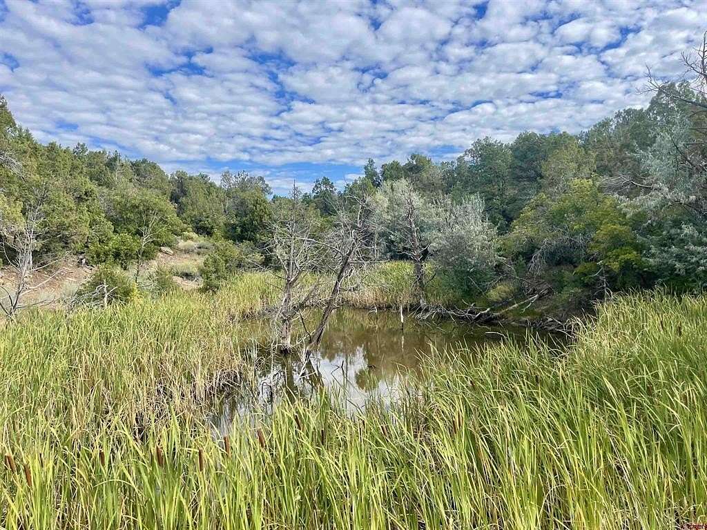 26 Acres of Recreational Land for Sale in Dolores, Colorado