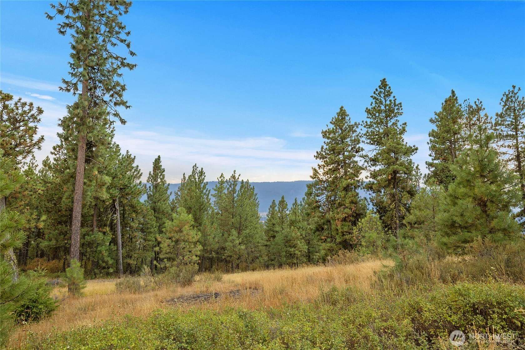 3 Acres of Residential Land for Sale in Cle Elum, Washington