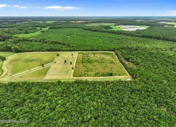 20.4 Acres of Agricultural Land for Sale in Fountain, North Carolina
