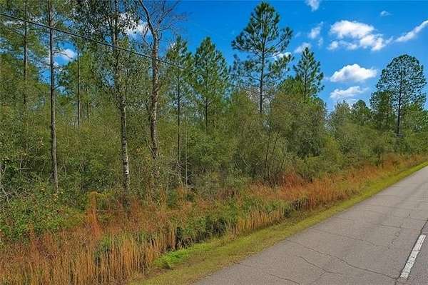80 Acres of Land for Sale in Pearl River, Louisiana