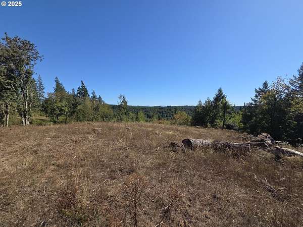 11.3 Acres of Land for Sale in Mulino, Oregon