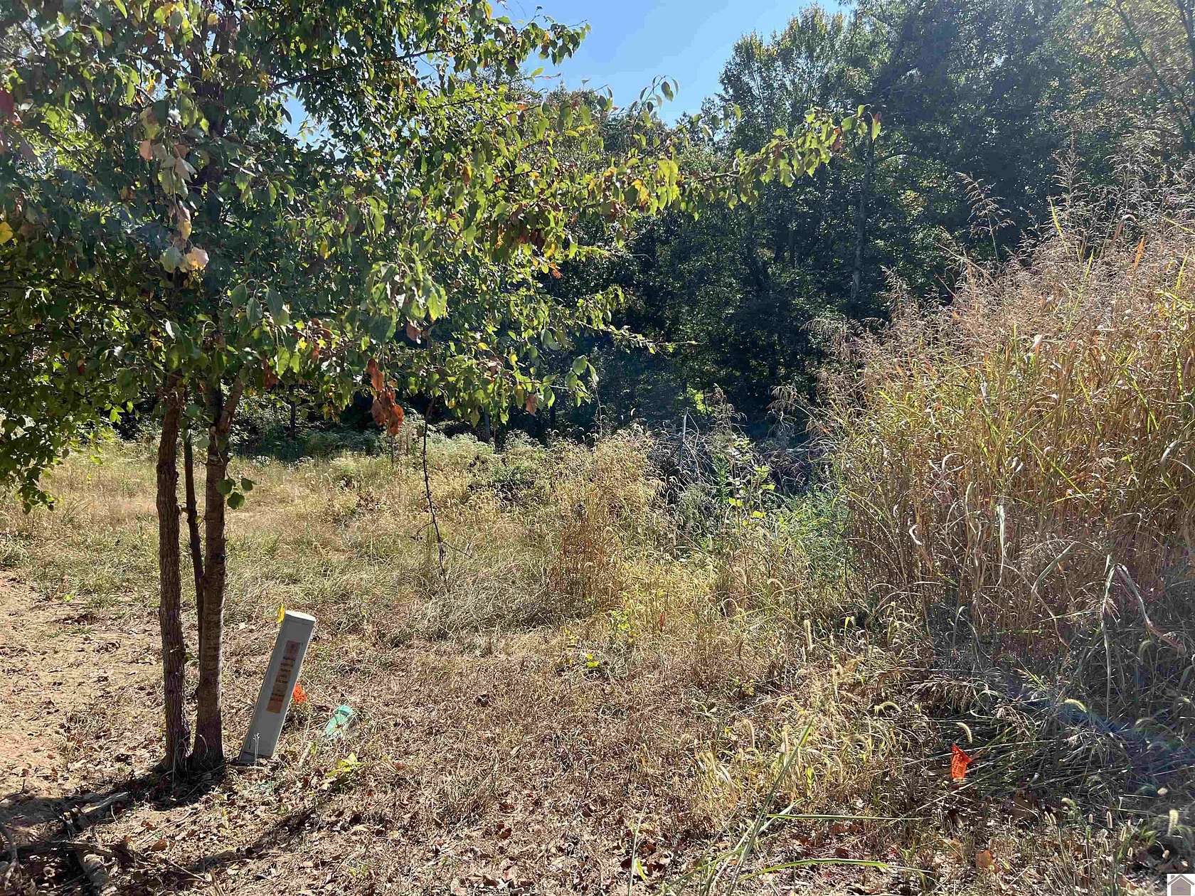 0.64 Acres of Residential Land for Sale in Benton, Kentucky