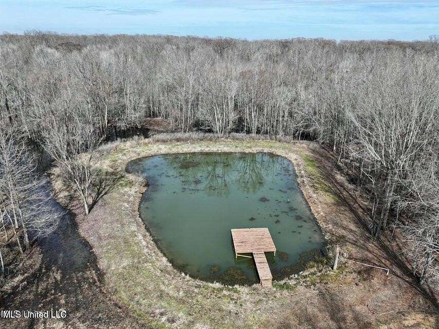 124 Acres of Recreational Land for Sale in Belzoni, Mississippi