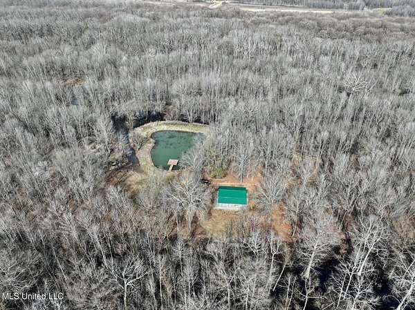 124 Acres of Recreational Land for Sale in Belzoni, Mississippi