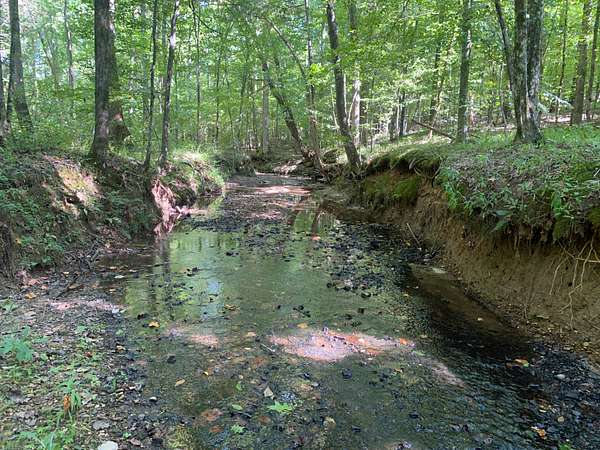 14 Acres of Land for Sale in Savannah, Tennessee