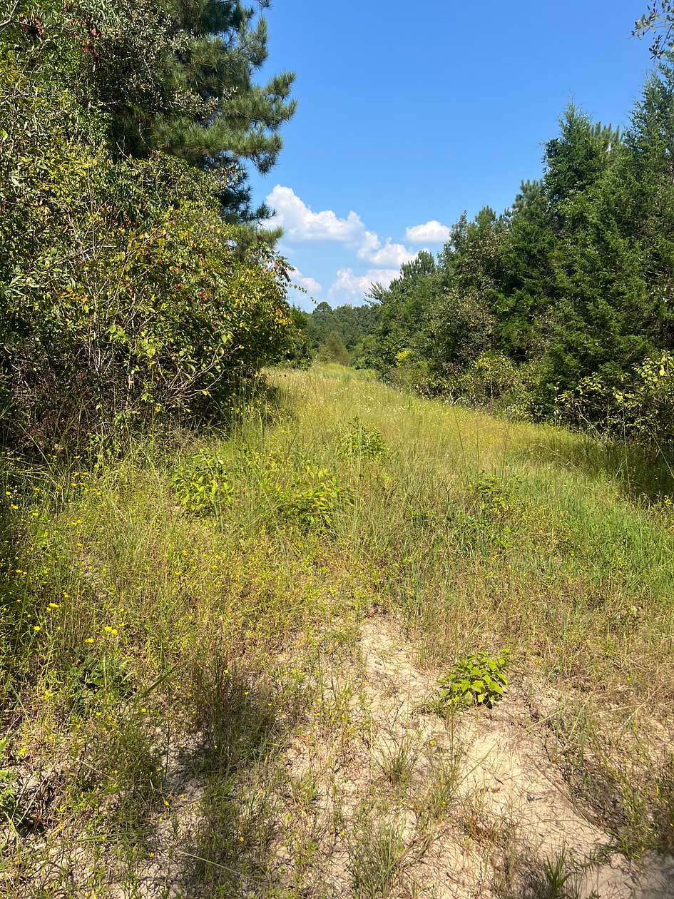 9.6 Acres of Land for Sale in Atlanta, Texas