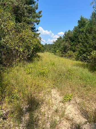 9.6 Acres of Land for Sale in Atlanta, Texas