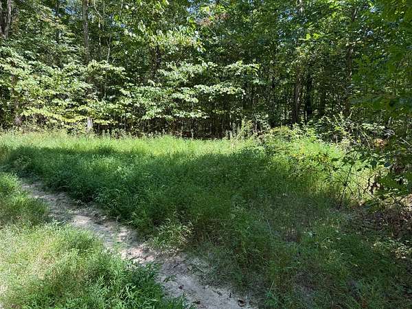 5.34 Acres of Land for Sale in Liberty, Kentucky