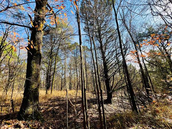 39.7 Acres of Land for Sale in Byhalia, Mississippi