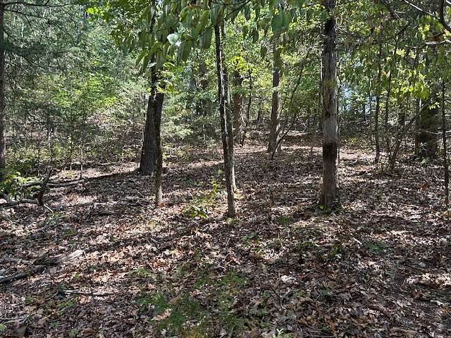 4 Acres of Land for Sale in Mountain Home, Arkansas
