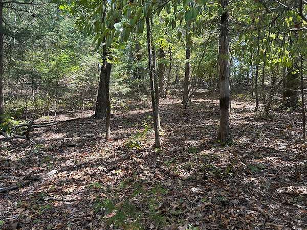 4 Acres of Land for Sale in Mountain Home, Arkansas