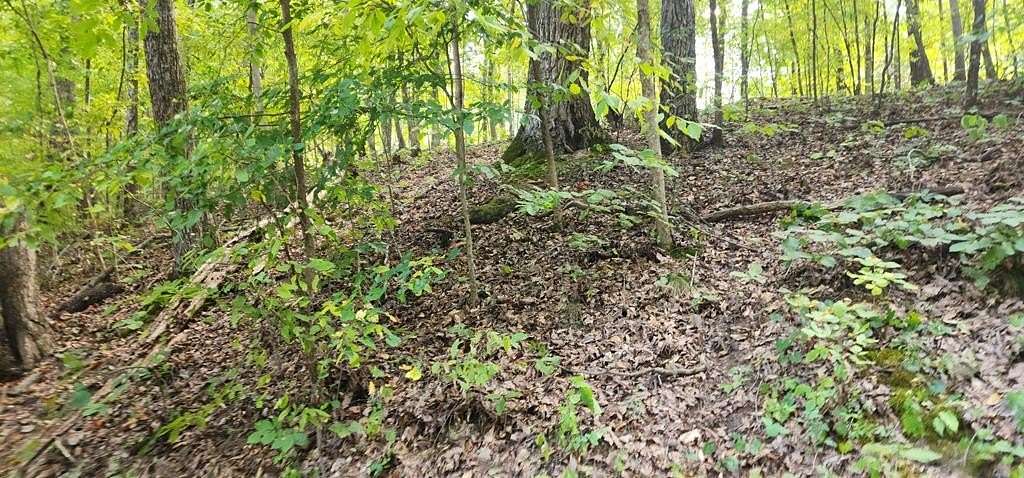 0.33 Acres of Residential Land for Sale in Camden, Tennessee