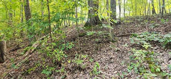 0.33 Acres of Residential Land for Sale in Camden, Tennessee