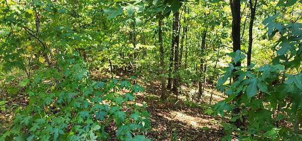 0.23 Acres of Residential Land for Sale in Camden, Tennessee