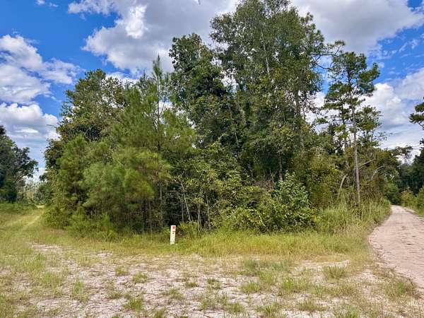 1.14 Acres of Residential Land for Sale in Jasper, Florida