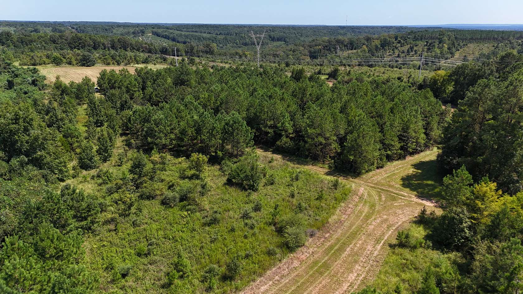 389 Acres of Land with Home for Sale in Selma, Alabama