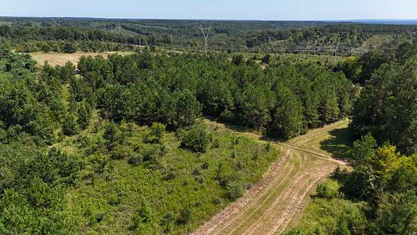389 Acres of Land with Home for Sale in Selma, Alabama