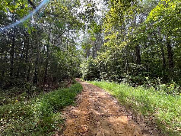 240 Acres of Recreational Land & Farm for Sale in Booneville, Mississippi