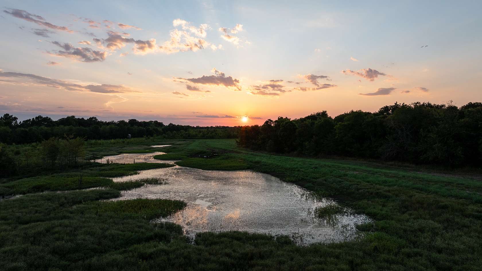 444 Acres of Recreational Land & Farm for Sale in De Kalb, Texas