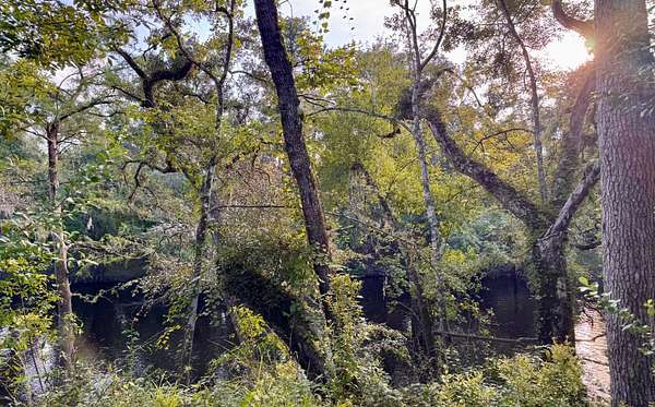 0.88 Acres of Land for Sale in Jasper, Florida