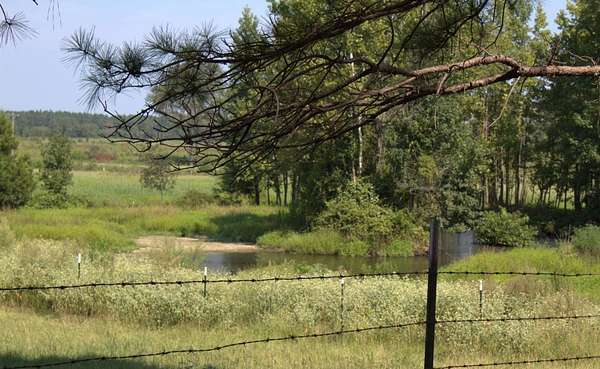 77 Acres of Agricultural Land for Sale in Fouke, Arkansas