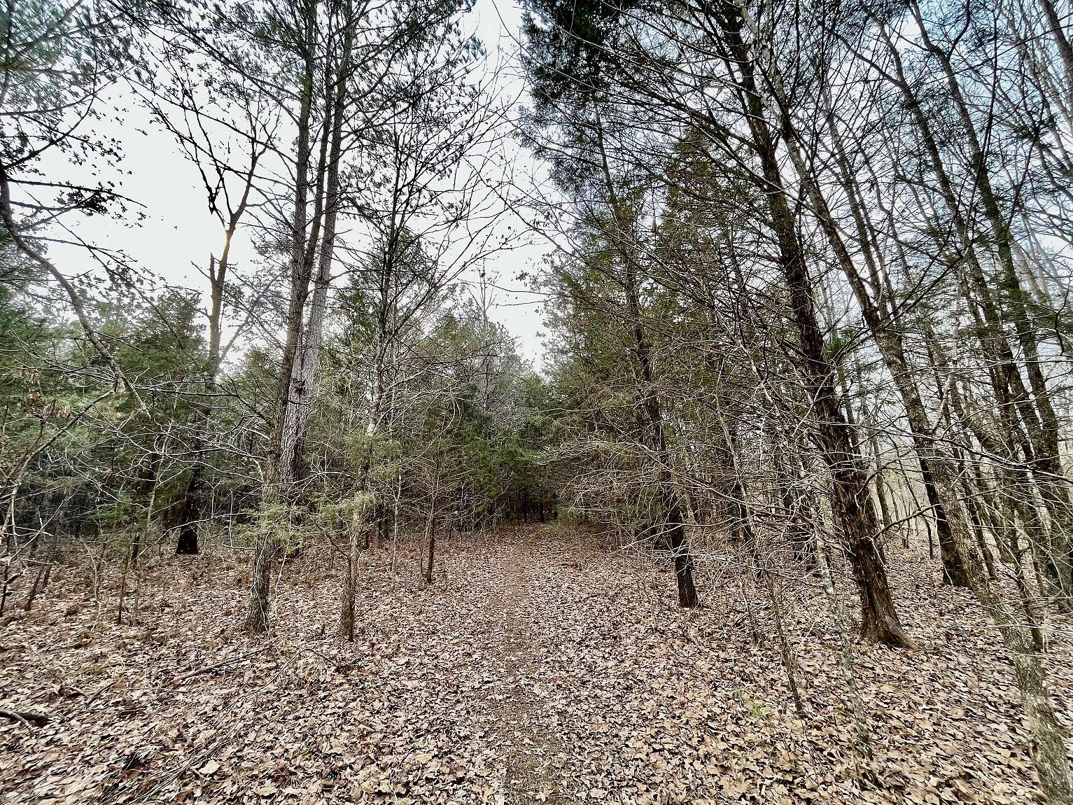 40 Acres of Recreational Land & Farm for Sale in Baldwyn, Mississippi