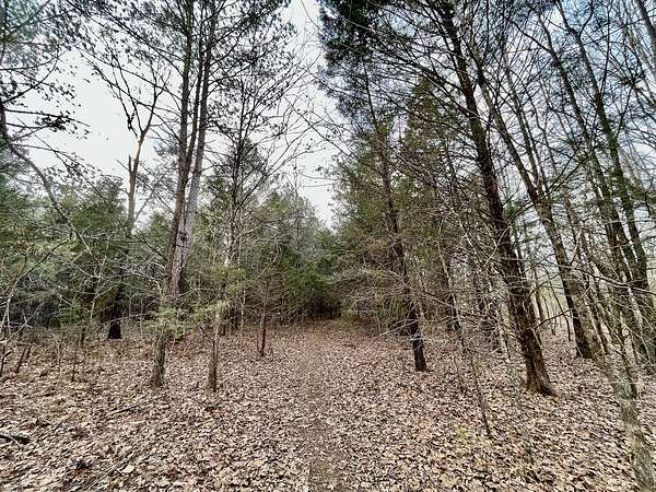 40 Acres of Recreational Land & Farm for Sale in Baldwyn, Mississippi