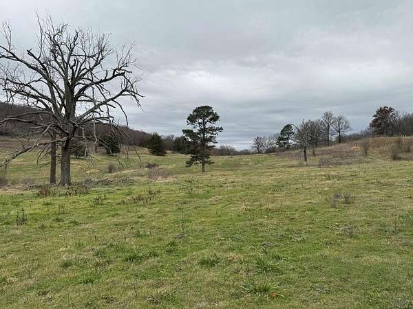 10 Acres of Agricultural Land for Sale in Lincoln, Arkansas