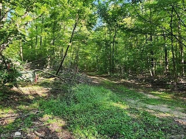 10 Acres of Recreational Land for Sale in Frederic, Michigan