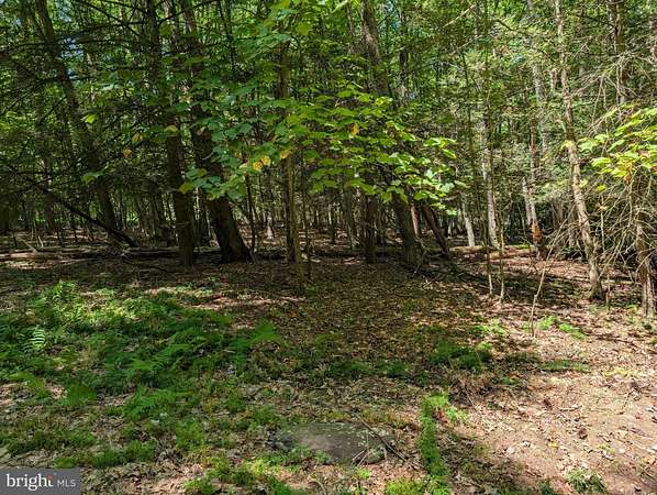 29 Acres of Recreational Land for Sale in Benton, Pennsylvania