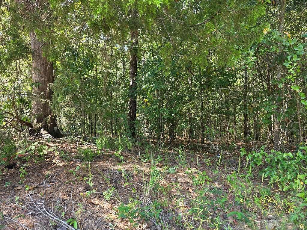 1.14 Acres of Residential Land for Sale in Georgetown, Georgia