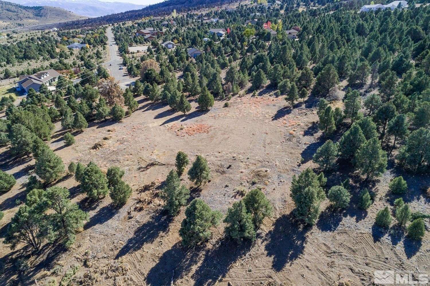 3 Acres of Residential Land for Sale in Gardnerville, Nevada
