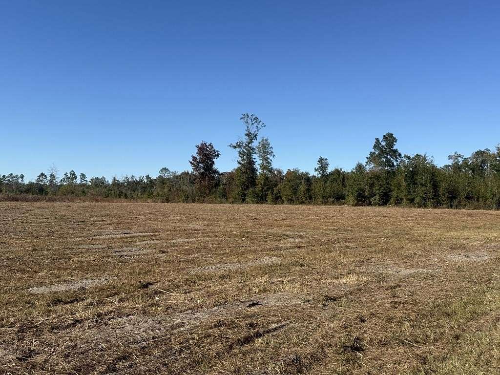 2 Acres of Residential Land for Sale in Wewahitchka, Florida