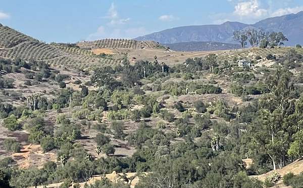 77.8 Acres of Land for Sale in Valley Center, California