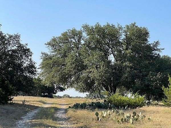 51 Acres of Recreational Land for Sale in Burnet, Texas