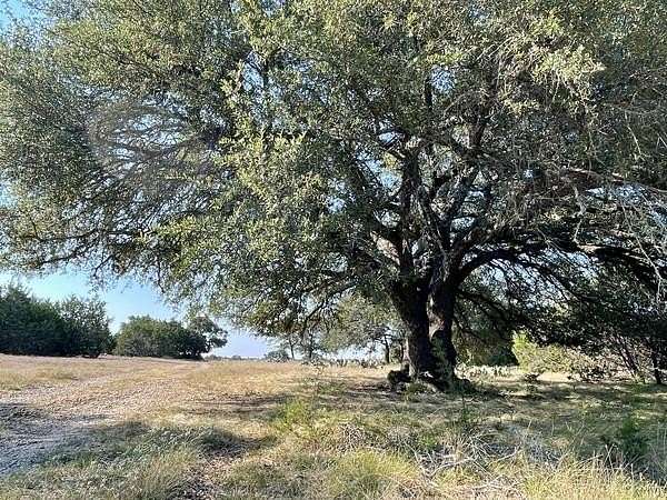 50.3 Acres of Land for Sale in Burnet, Texas