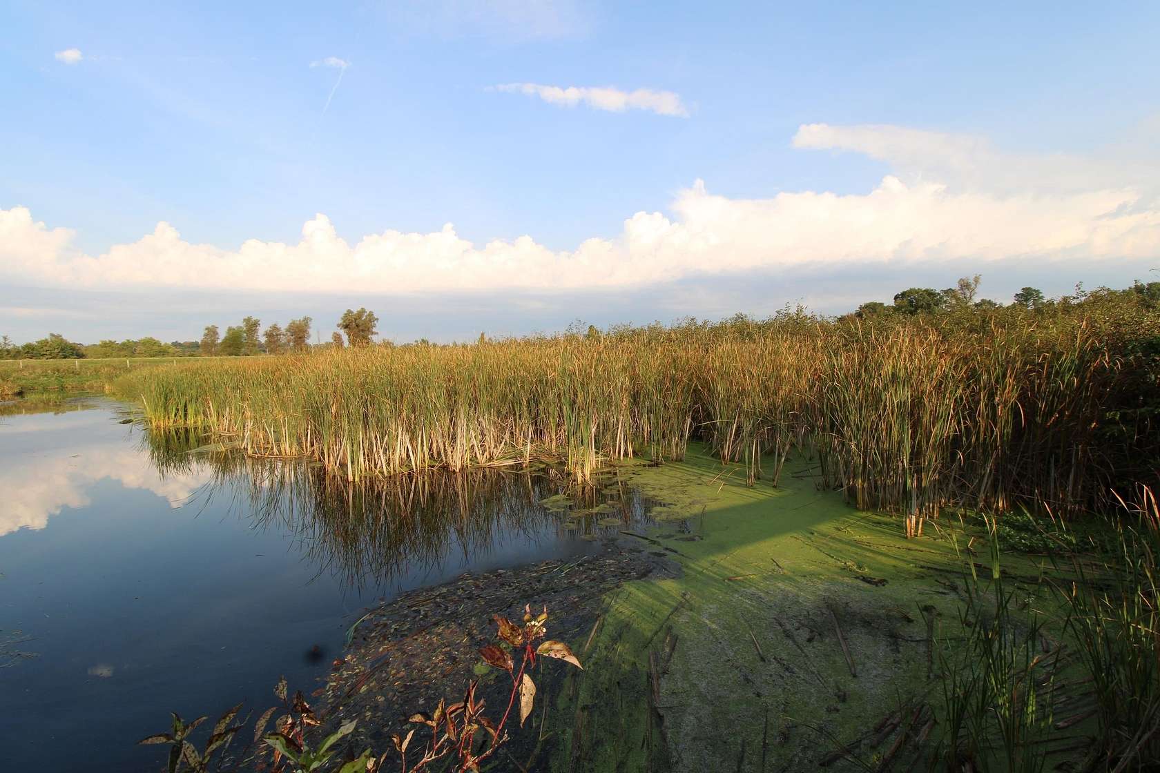 14.9 Acres of Recreational Land for Sale in Montello, Wisconsin