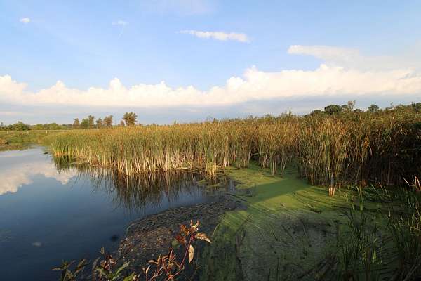 14.9 Acres of Recreational Land for Sale in Montello, Wisconsin