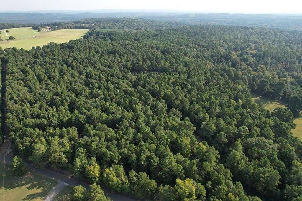 124 Acres of Recreational Land & Farm for Sale in Grapeland, Texas