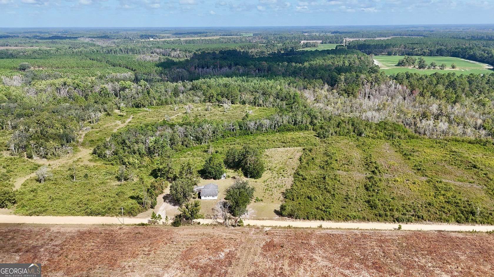 21 Acres of Land for Sale in Mershon, Georgia