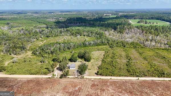 21 Acres of Land for Sale in Mershon, Georgia