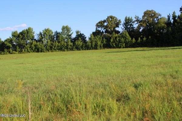 68 Acres of Land for Sale in Holly Springs, Mississippi