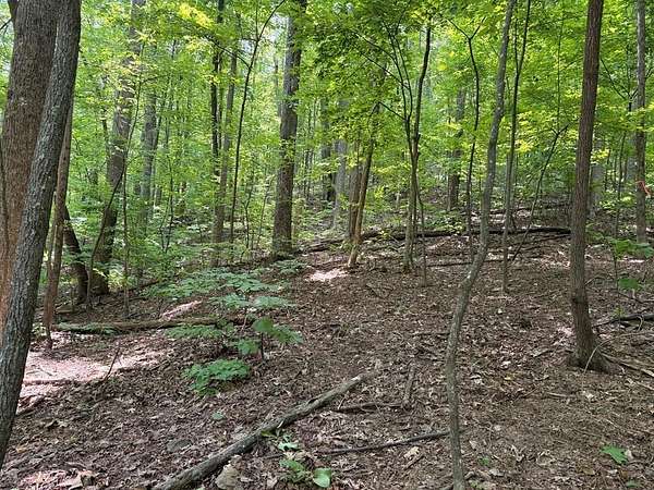 0.48 Acres of Land for Sale in Ellijay, Georgia