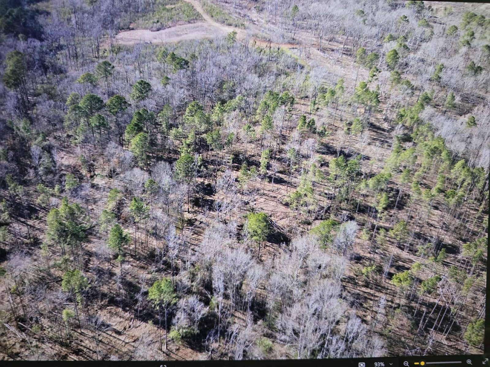 18.2 Acres of Recreational Land for Sale in Many, Louisiana