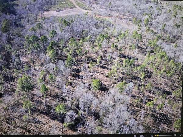 18.2 Acres of Recreational & Residential Land for Sale in Many, Louisiana