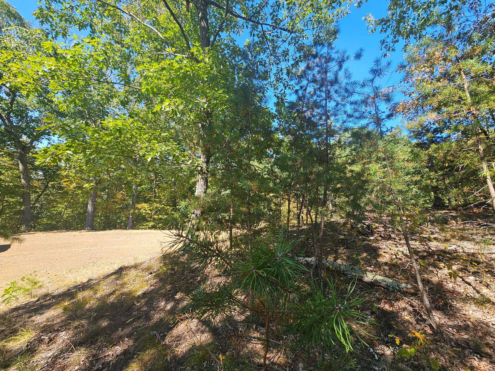 30.6 Acres of Recreational Land for Sale in Milam, West Virginia