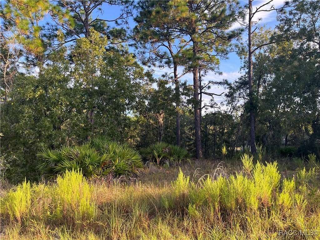 0.23 Acres of Residential Land for Sale in Dunnellon, Florida