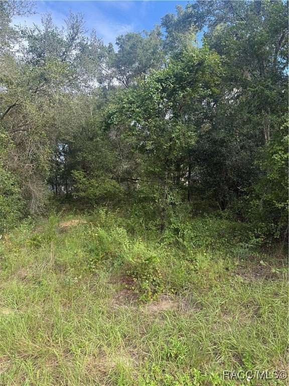 0.44 Acres of Residential Land for Sale in Inverness, Florida